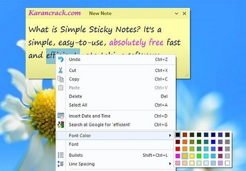 Simple Sticky Notes Crack